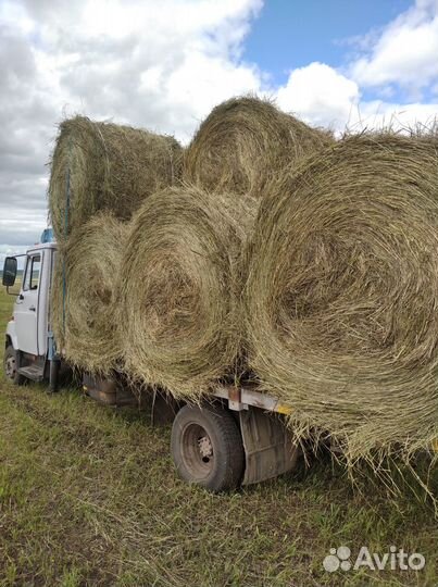 Сено в рулонах с доставкой