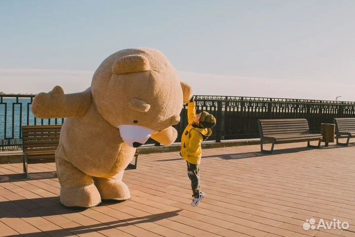 Мишка Тедди поздравление