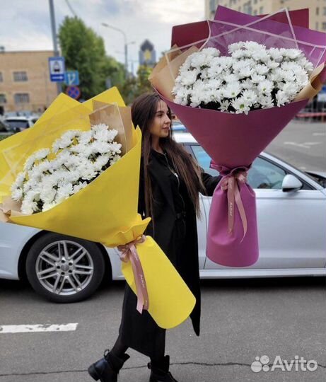 Хризантема гигант