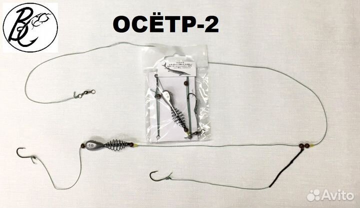 Готовый монтаж на осетра для платных водоёмов