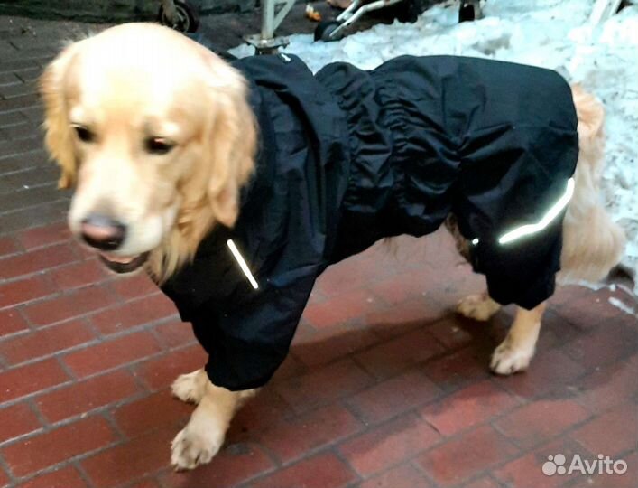 Дождевик для собак(asmpet)