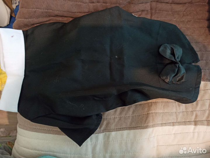 Костюм для маленьких собачек