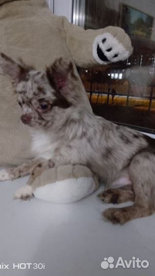 Мальчик мрамор