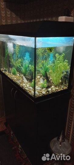 Аквариум с тумбой 120 литров