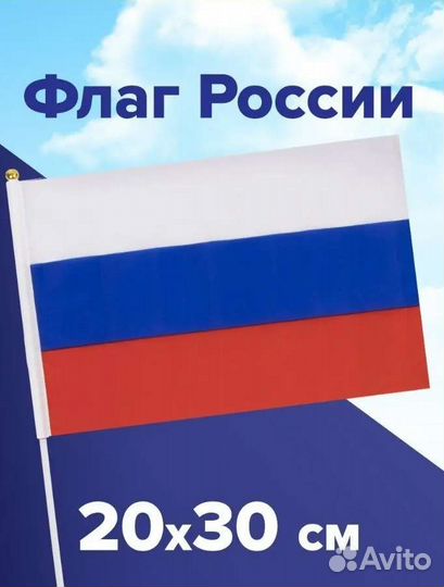 Флаг России с флагштоком 20х30