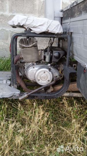 Продам муравей