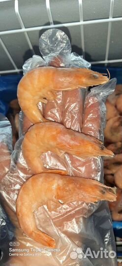 Креветки королевские в розницу