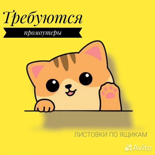 Промоутер в свободное время