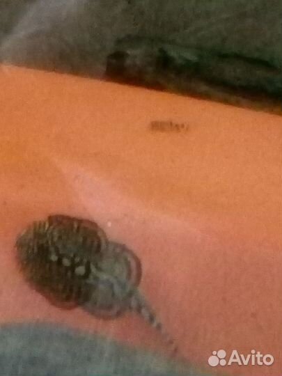 Номерные сомы