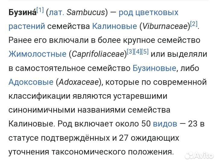 Декоративные растения для сада, вейгела