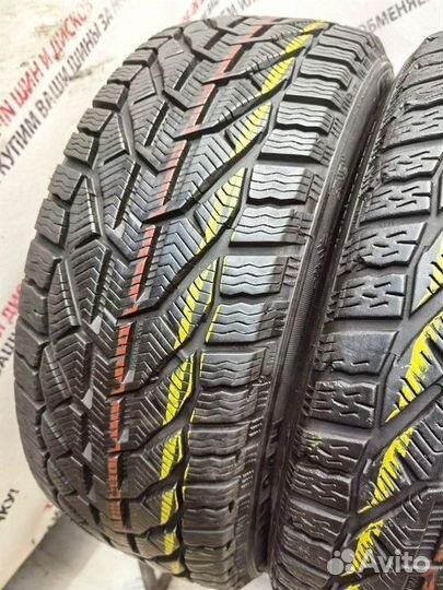Riken Snow 225/45 R17 94H