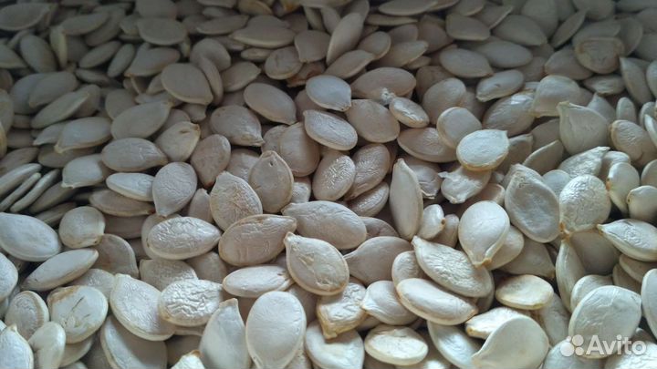 Семечки тыквы