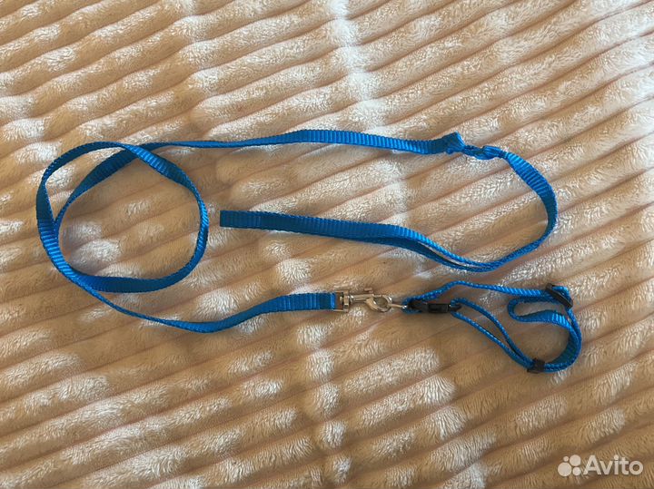 Ошейник с поводком для кота или собаки