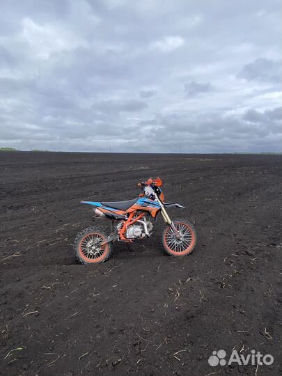 Питбайк kayo 125 evo