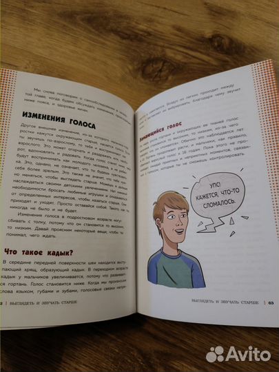 Как устроены мальчики Книга