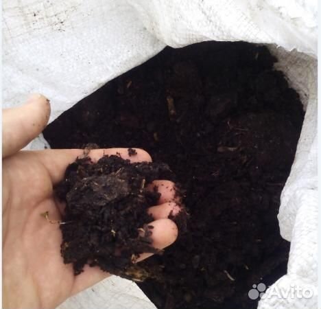 Перегной с доставкой