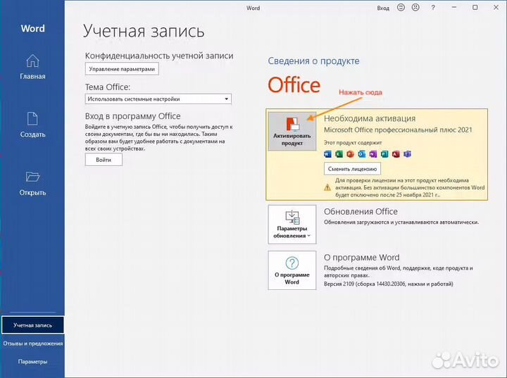 Лицензия Microsoft Office Pro Plus 2021/2019/2016