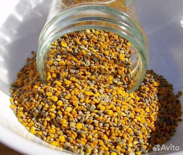 Пыльца пчелиная