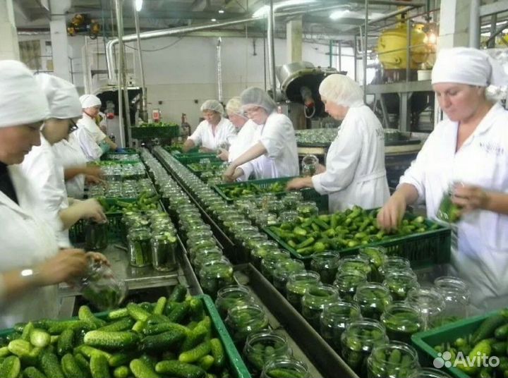 Вахта в Краснодаре/Рабочий завода