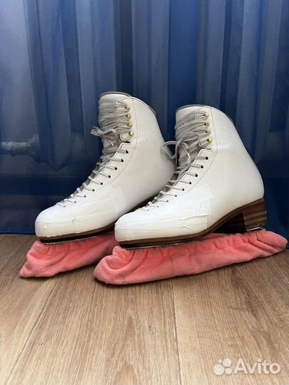 Коньки Jackson Elle