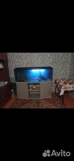 Аквариум на 400 литров