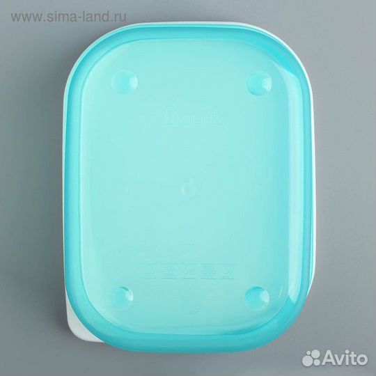 Ланч-бокс «Meow», 500 мл