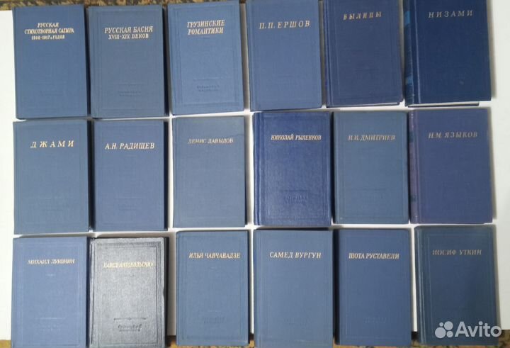 Библиотека поэта