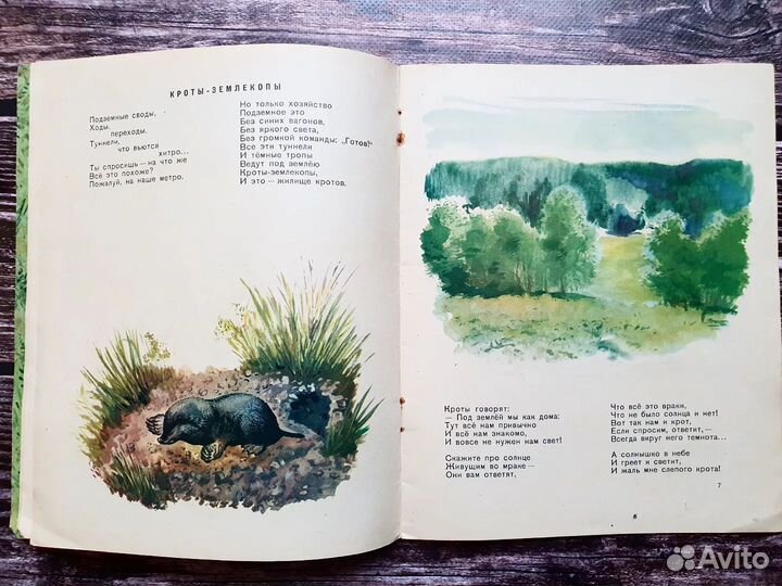 Лифшиц. Лесные хозяева 1957 г