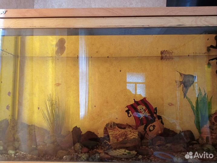 Аквариум jebo