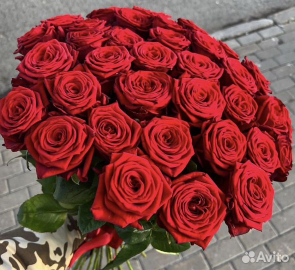 25 роз красные