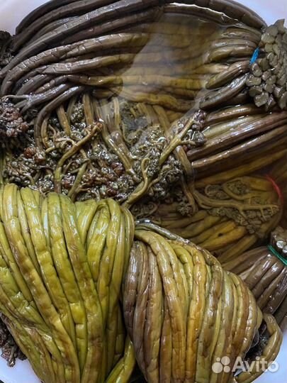 Папоротник соленый