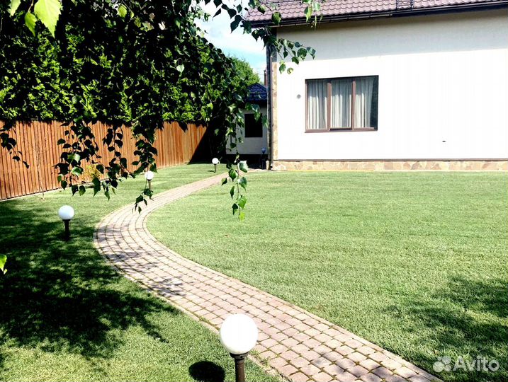 Рулонный газон 