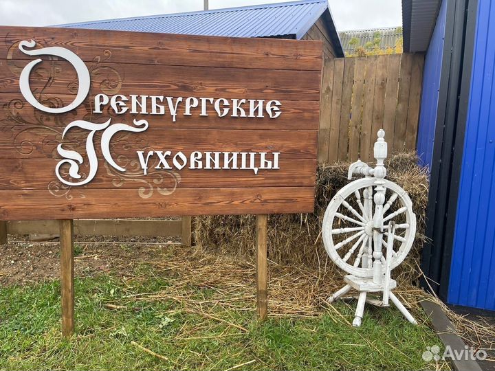 Автобусный тур 