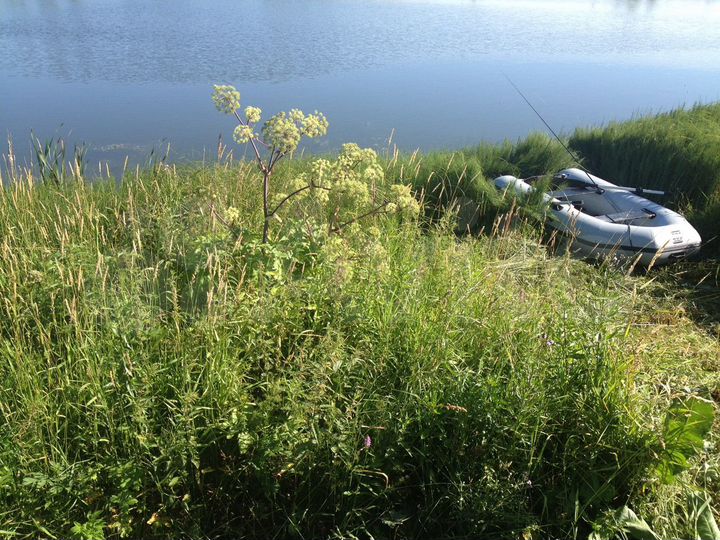 Участок 31 сот. (ИЖС)