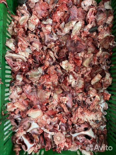 Корм для животных (Обрезь говяжья и др.)