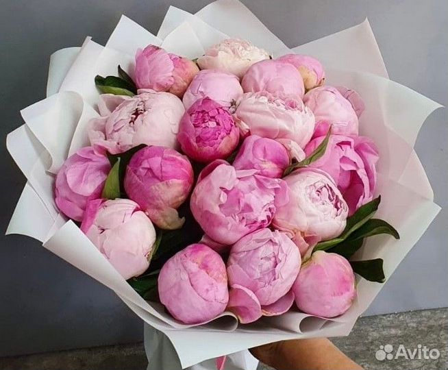 Пионы букеты цветы