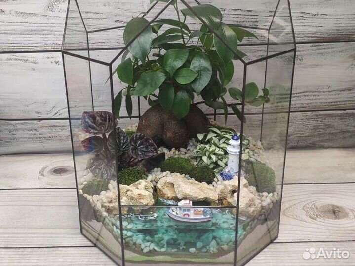 Флорариум, подарок, декор, цветы