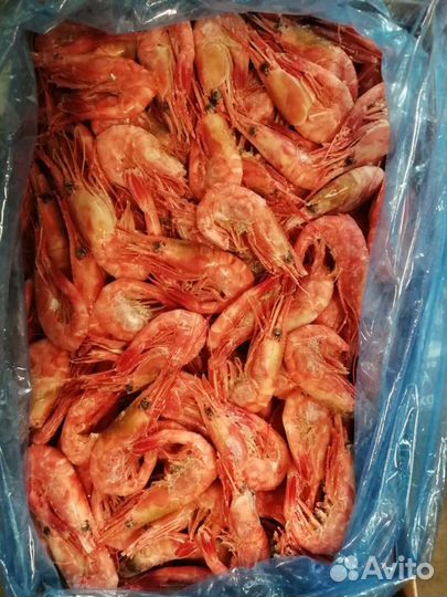 Креветка северная оптом в Москве и Зеленограде