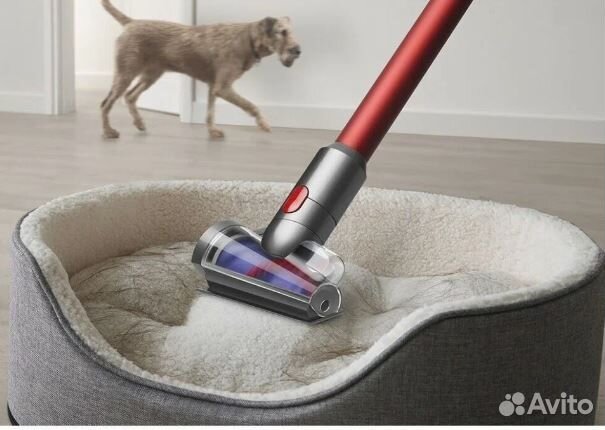 Dyson outsize Absolute Vacuum Cleaner