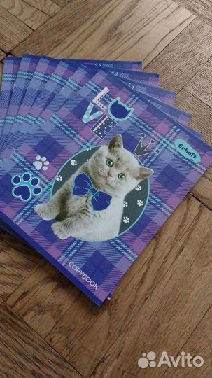 Товары к школе, Дневники