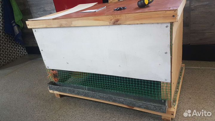 Брудер для цыплят кур