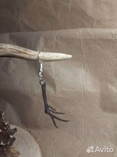 Лапка птички