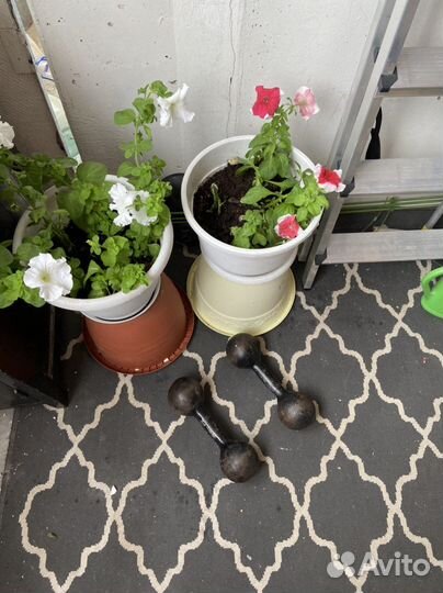 Гантели литые СССР 6 кг