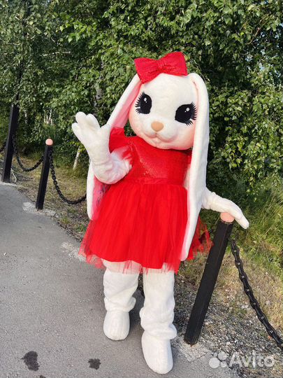 Ростовые куклы,аниматоры,зайка