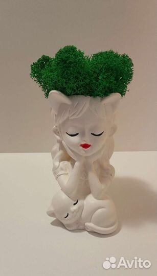 Композиция из стабилизированнго мха