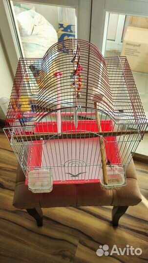 Клетка для птиц, для попугаев TailsTime