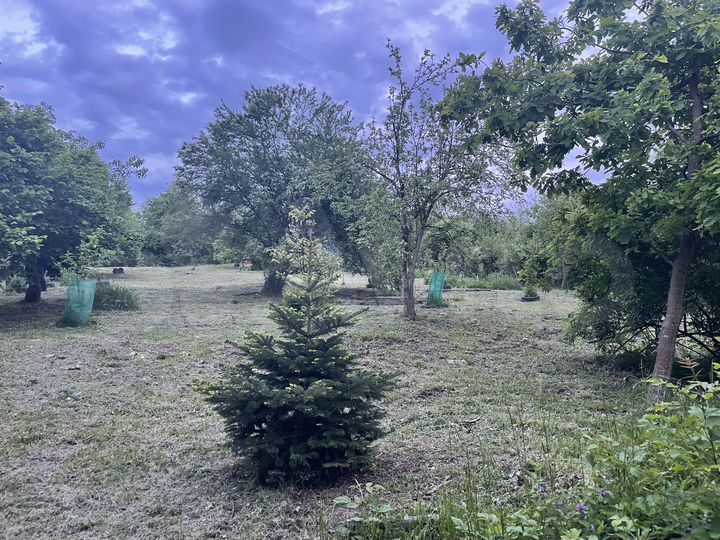 Участок 15 сот. (ИЖС)