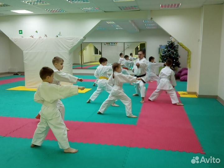 Будо маты ласточкин хвост