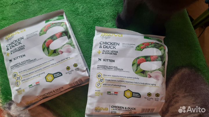 Сухой корм для котят