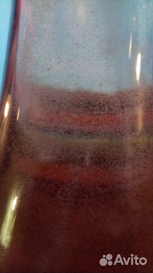 Аквариумные жители